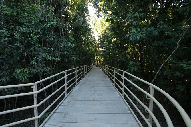 Manuel Antonio National Park Guided Tour - Highlights of Manuel Antonio National Park