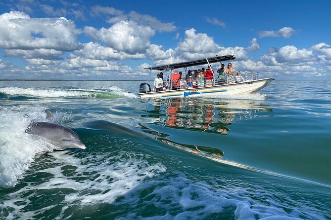 Marco Island Dolphin Sightseeing Tour - Customer Reviews