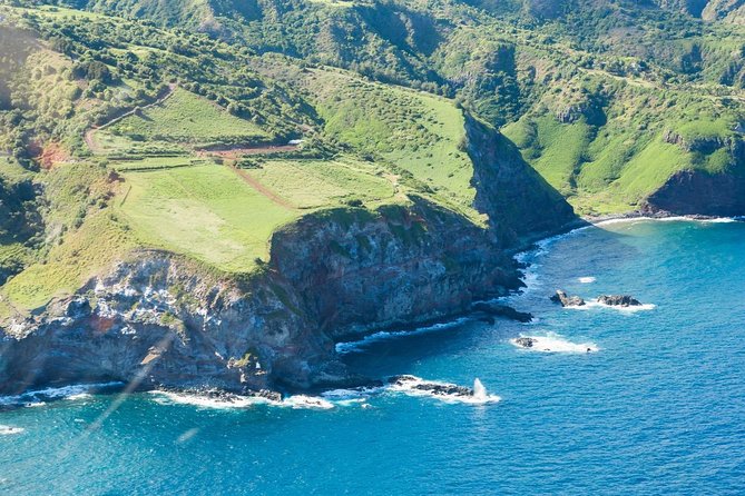Maui Horseback Adventure at Circle M Ranch With Real Cowboys - Safety and Requirements