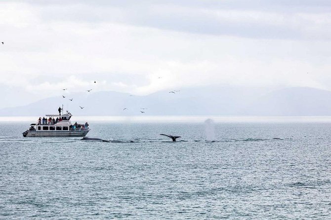 Mendenhall Glacier Visitor Center and Ultimate Whale Watch Combo - Transportation and Pickup Details