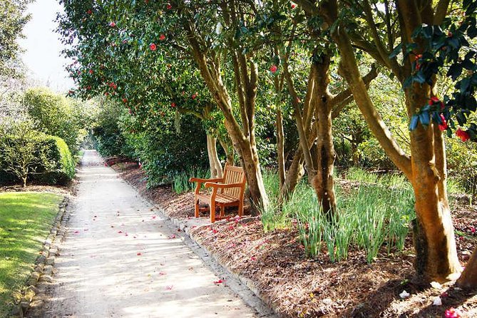 Middleton Place Admission With Self Guided Tour and Lunch - Food and Beverage
