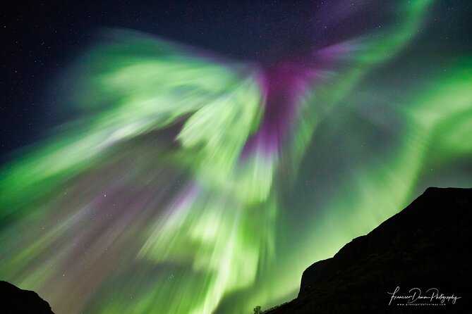 Minivan Northern Lights Excursion (8 Guests per Minivan) - Participant Feedback and Ratings