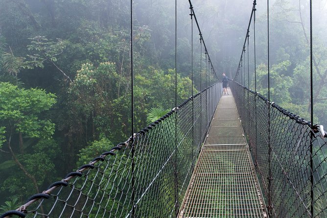 Mistico Hanging Bridges AM or PM, Guide & Transport - Transportation and Pickup Details