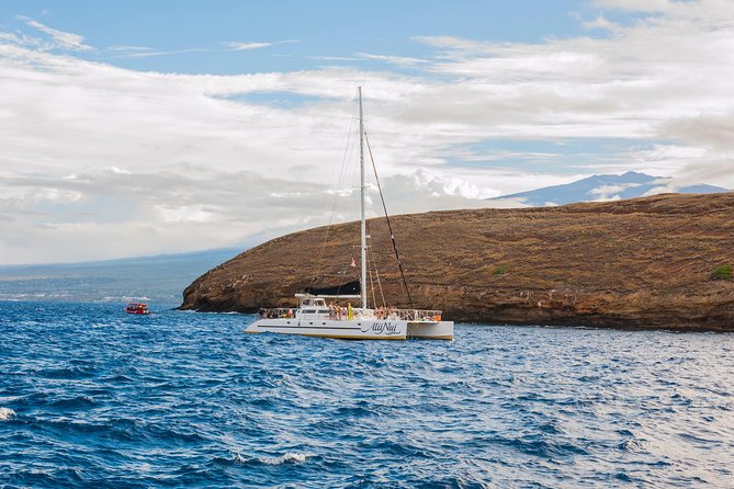 Molokini and Turtle Arches Snorkeling Trip From Maalaea Harbor - Reviews and Feedback