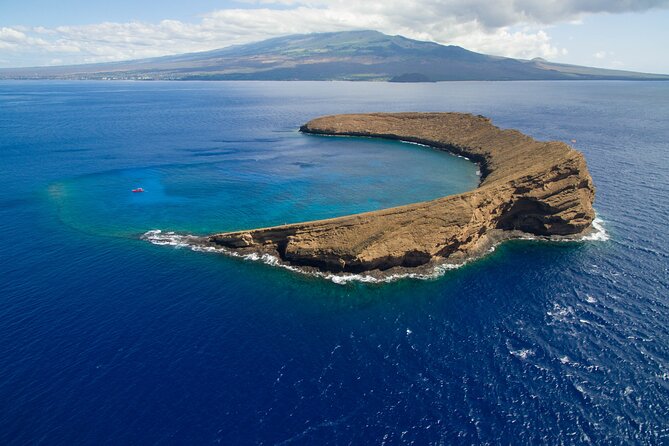 Molokini Crater and South Maui Coast Adventure From Kihei - Health and Safety Restrictions