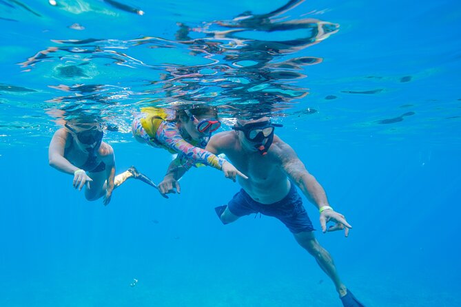 Molokini Crater and Turtle Town Snorkeling From Kihei - Onboard Amenities and Inclusions