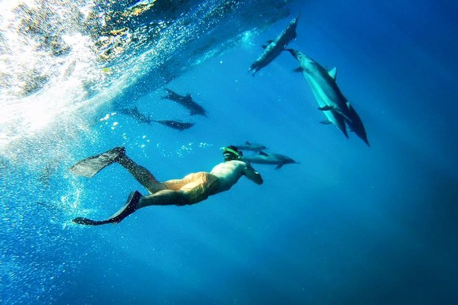 Molokini Snorkel and Performance Sail From Maalaea Harbor - Marine Life and Underwater Wonders
