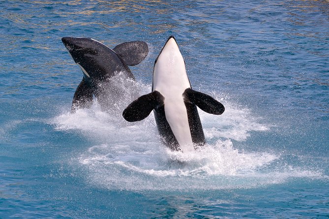 Monterey Bay Whale Watching - Boat Features and Amenities
