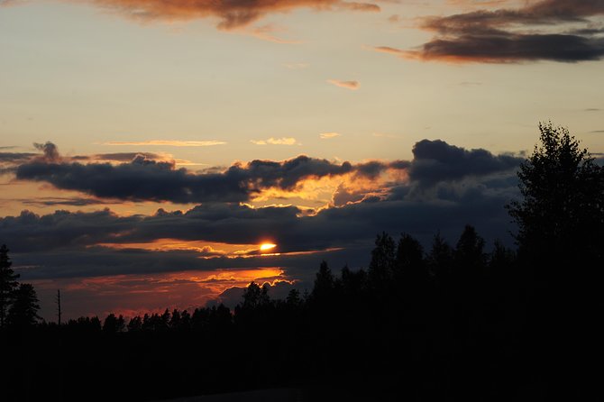 Moose Safari in the Wild Sweden Tiveden - Dietary Considerations