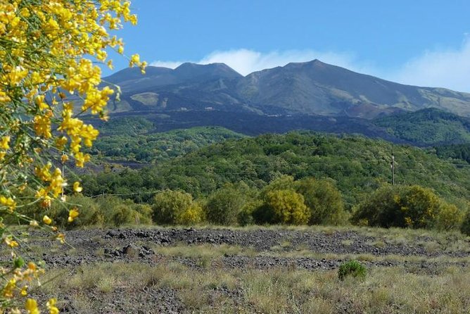 Mt. Etna Nature and Flavors Half Day Tour From Catania - Customer Reviews and Experiences