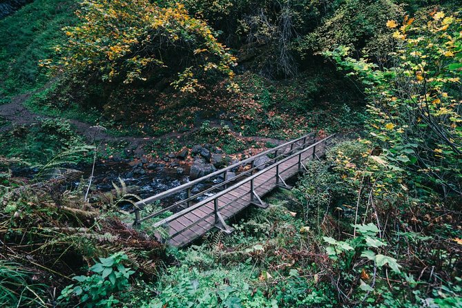 Multnomah Falls and Columbia River Gorge Waterfalls Tour Morning - Accessibility and Weather Conditions