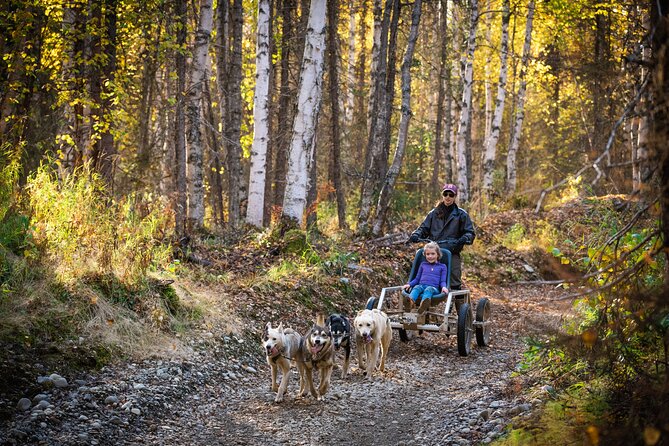 Mush Your Own Sled Dog Team (Summer/Fall Tour) - Health and Safety Information