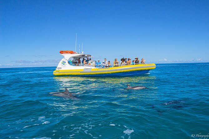 Na Pali Coast Super Raft Adventure With Snorkel - Snorkeling Amidst Tropical Fish and Sea Turtles