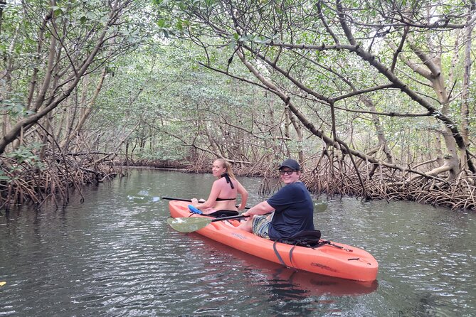 Nature & Island Exploration on SUP/Kayak - Scenic Views and Serenity