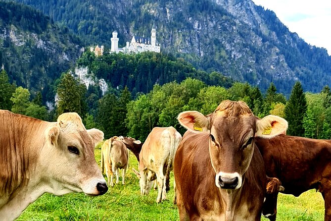 Neuschwanstein Castle Tour With Skip the Line From Hohenschwangau - Accessibility and Group Size