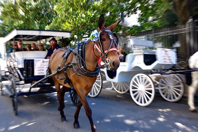 New Orleans French Quarter and More Carriage Ride - Taking in New Orleans Culture