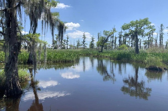 New Orleans Small-Group Airboat Swamp Tour - Photographic Opportunities