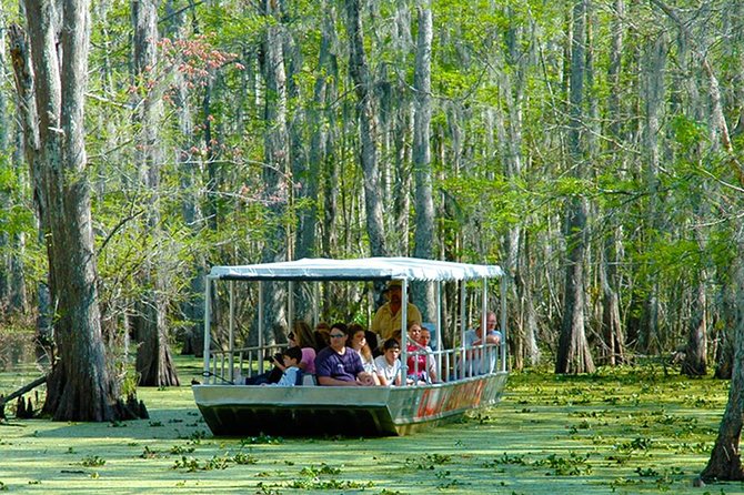 New Orleans Swamp and Bayou Boat Tour With Transportation - Taking in Cajun Culture