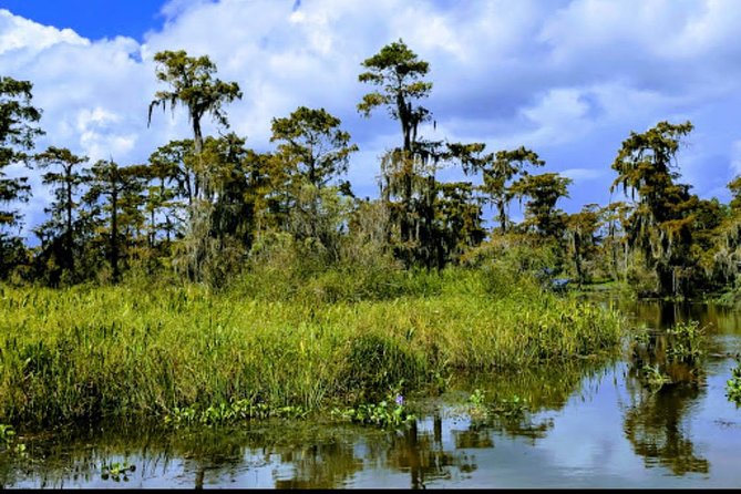 New Orleans Swamp Tour Boat Adventure With Transportation - Wildlife Encounters