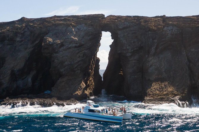 Niihau and Na Pali Coast Snorkel Boat Tour - Dolphin Spotting and Marine Life Encounters