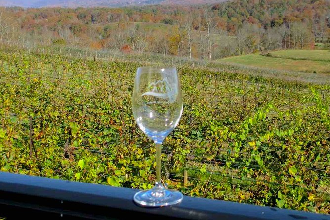 North Georgia Wine Country Tour From Atlanta - Sampling the Variety of Local Wines
