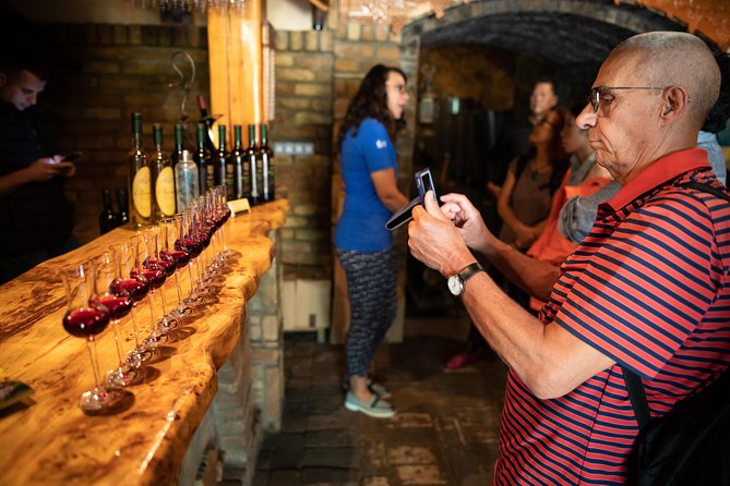 Northern Serbia: Sremski Karlovci and Novi Sad Full-Day Tour From Belgrade - Tour Experience and Accessibility