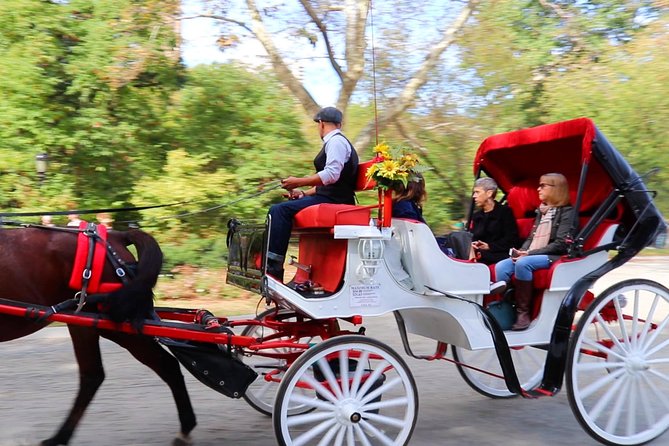 NYC Central Park Horse Carriage Ride (Up to 4 Adults) - Inclusions and Amenities