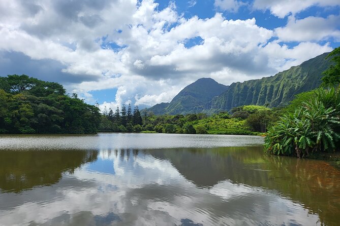 Oahu Fun Circle Island Tour With Pickup - Customer Feedback