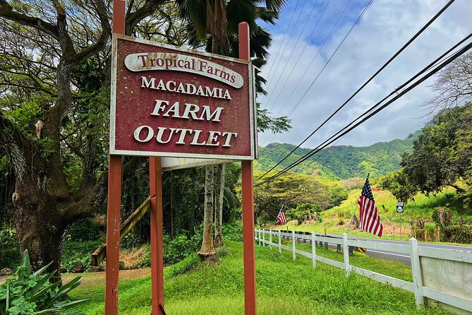 Oahu Island Experience Feat the North Shore (Small Group Tour) - Traveler Feedback and Ratings