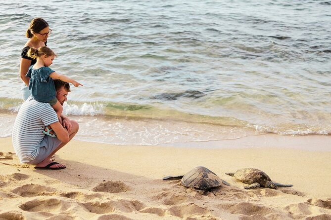 Oahu Premium Quality Tour: Island Highlights in Small Group - Disappointments and Opportunities for Improvement