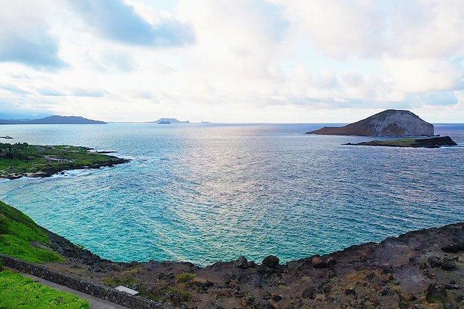 Oahus Ultimate Tour: Dole, Turtle Snorkel, & Nuuanu Pali Lookout - Exploring the Dole Plantation