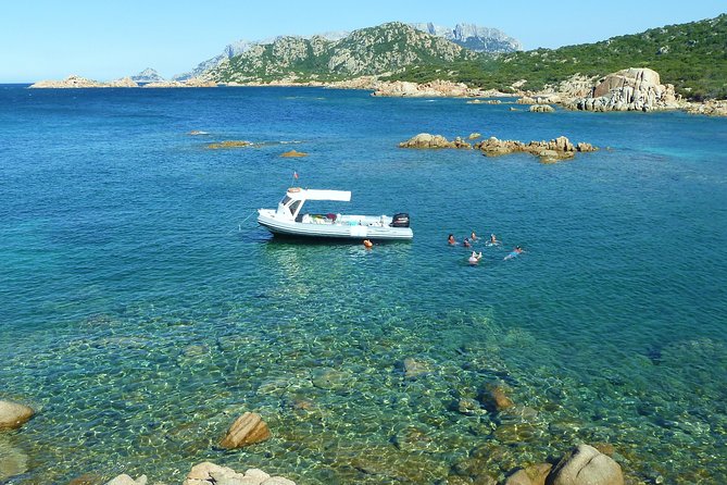 Observation of Dolphins and Snorkeling in a Rubber Boat in Olbia - Snorkeling Adventures