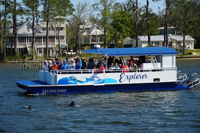 Orange Beach Dolphin Eco Boat Tour - Exploring the Local Ecosystem