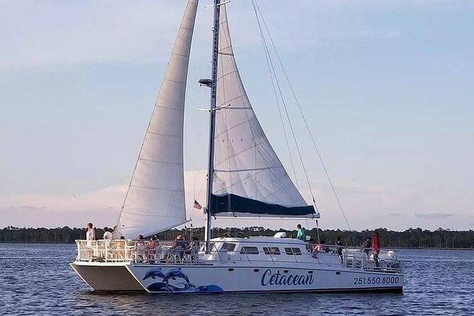 Orange Beach Sunset Sailing Cruise - Health and Safety Considerations