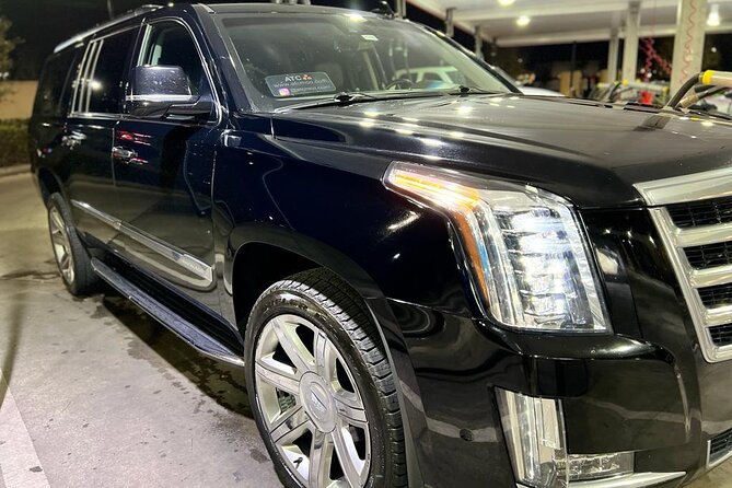Orlando Airport MCO and Hotels Private Transfer to Port Canaveral - Group Sizes and Accessibility