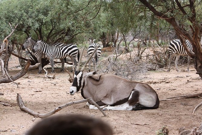 Out of Africa Wildlife Park Admission Ticket - Operating Hours and Location