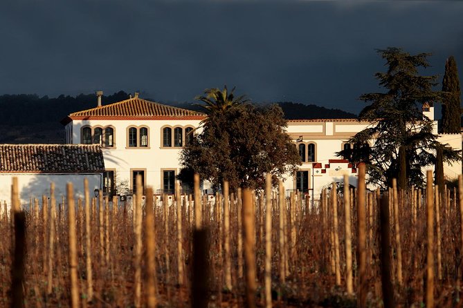 Penedes Wine & Cava Tasting & 4WD Vineyards Tour From Barcelona - Important Information