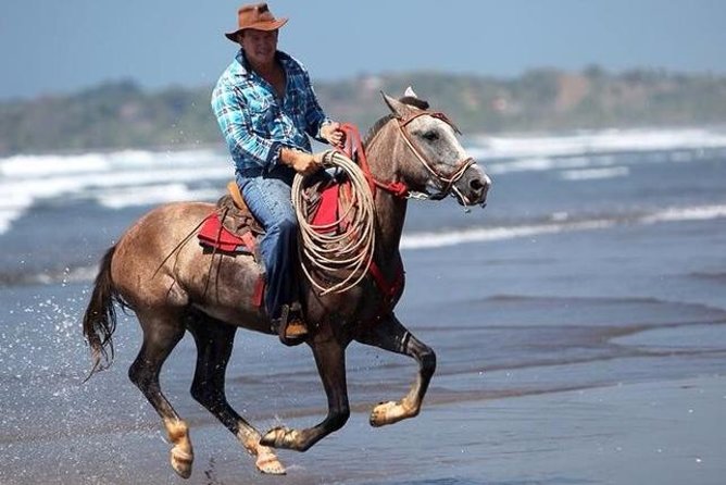 Personalized Beach Adventure Near Jaco - Horseback Riding on the Private Coastal Cattle Ranch