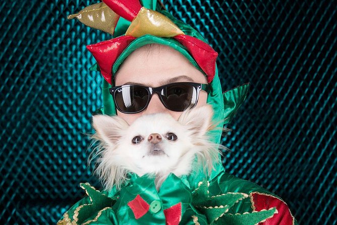 Piff the Magic Dragon at the Flamingo Las Vegas - Discounted Ticket Offer