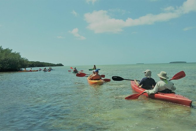 PM Half-Day Trip From Key West With Kayaking, Snorkeling & Sunset - Kayaking Adventure