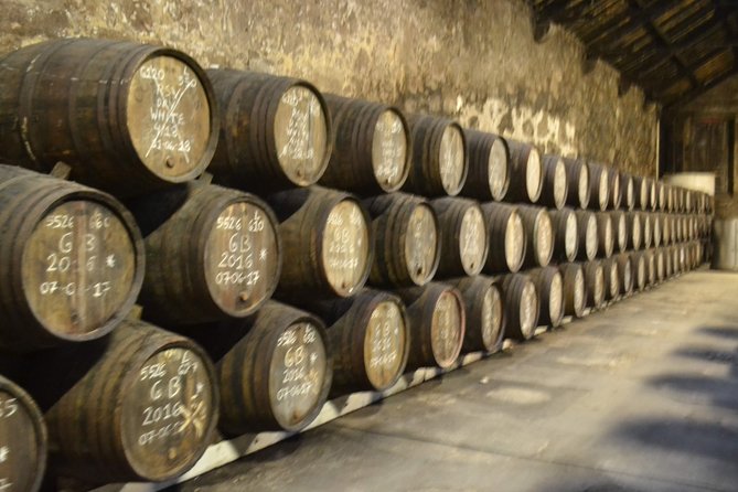 Port and Douro Wine Walking Tour With 10 Tastings - Navigating the Tours Physical Demands