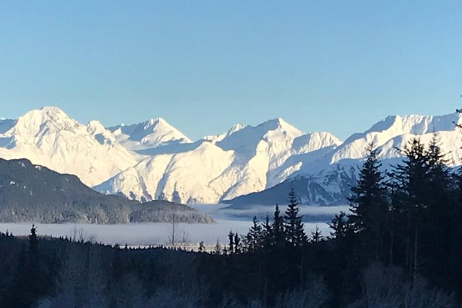 Portage Glacier Cruise and Wildlife Explorer Tour - Taking in the Beauty of Chugach National Forest