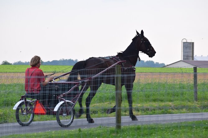 Premium Amish Country Tour Including Amish Farm and House - Traveler Experiences and Feedback