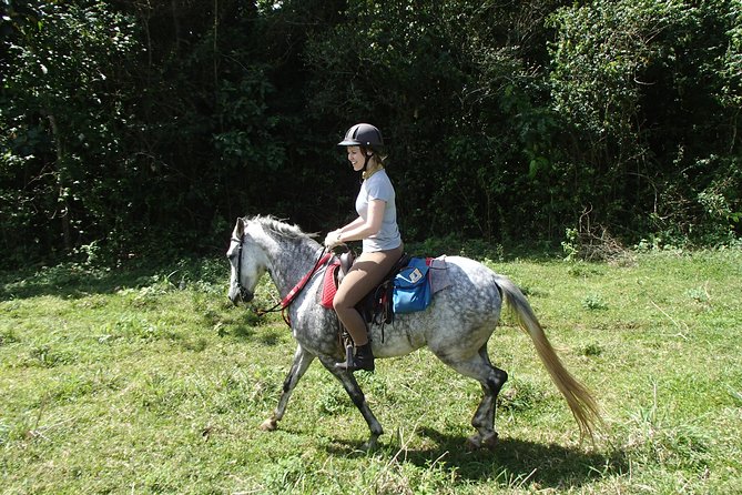 Private and Customized Horseback Riding Adventures - What to Expect on the Horseback Riding Adventure