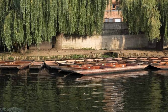 Private Cambridge Punting Tour - Knowledgeable Chauffeurs and Insider Insights