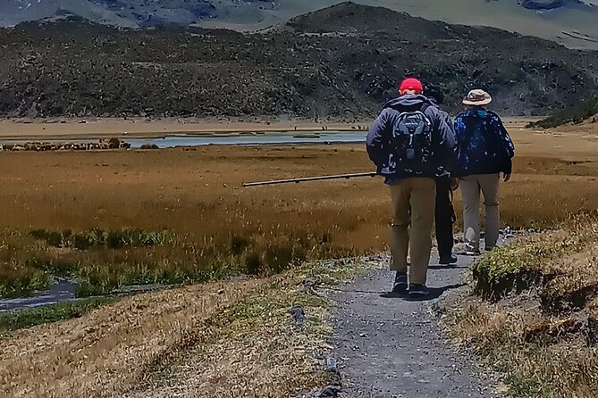 Private Cotopaxi Volcano Hike With Horseback Riding for Beginners - Horseback Riding Experience