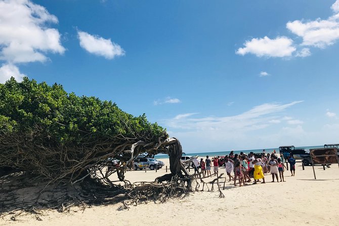 Private Day Trip on the East Coast Jericoacoara - Lagoon Admiration