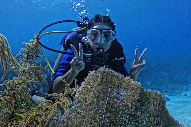 Private Diving Experience for Beginners in San Andres Islands - Traveler Reviews