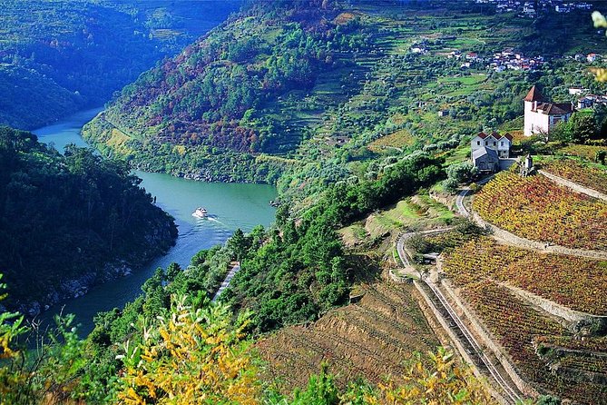 Private Douro Valley Wine Tour: 2 Wine Estates, Lunch and Cruise - Experience Highlights