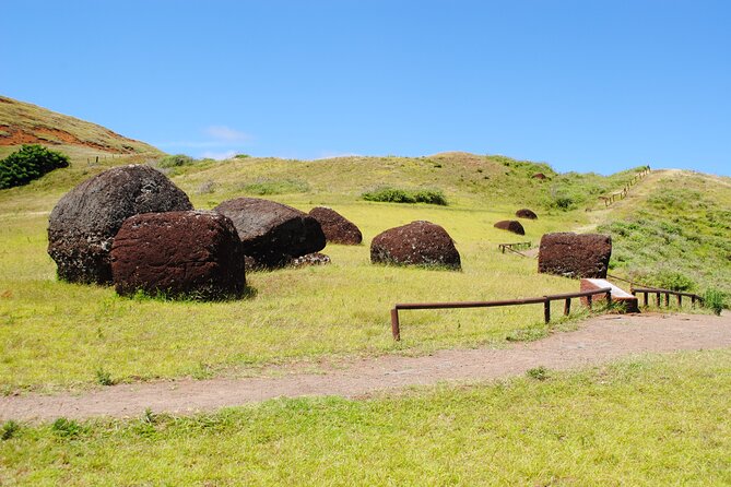 Private Full-Day Easter Island Highlights North and West - Explore the Iconic Puna Pau
